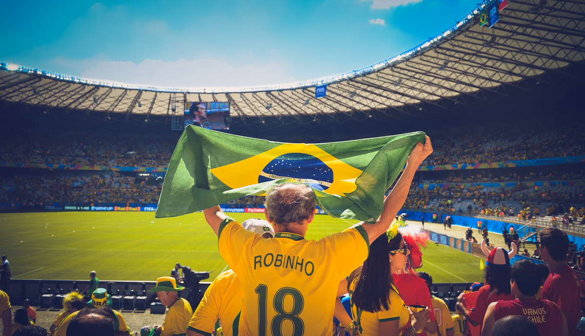 A fan holding a national flag in a packed World Cup stadium crowd